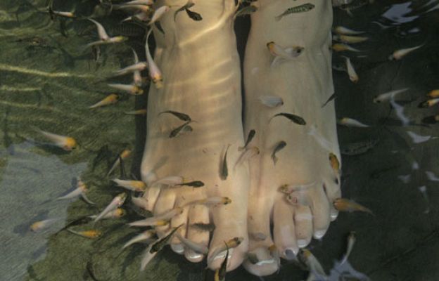  - Una forma diferente de relajarse