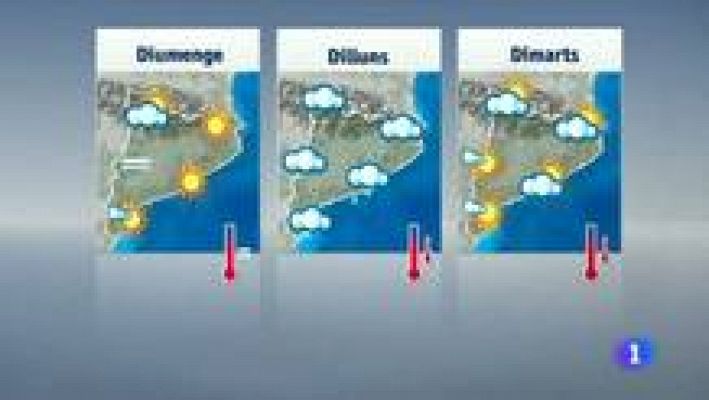 El temps - 10/01/2014