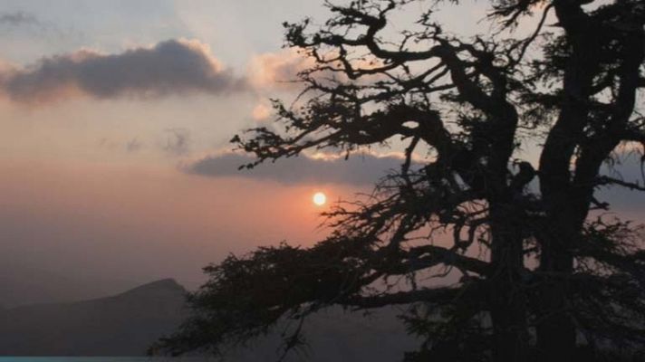 El tiempo - Nubosidad en el noroeste y Canarias