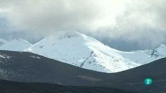 El escarabajo verde - Todas las caras de Gredos