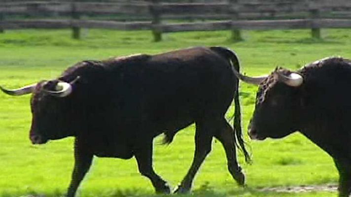 Tendido cero - Tendido Cero - 11/01/14