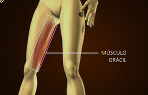  - Implantes de mama sacados del muslo