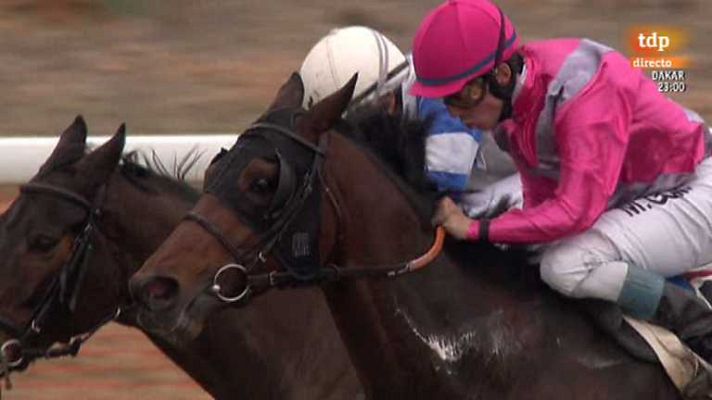 Turf - Turf - 12/01/14