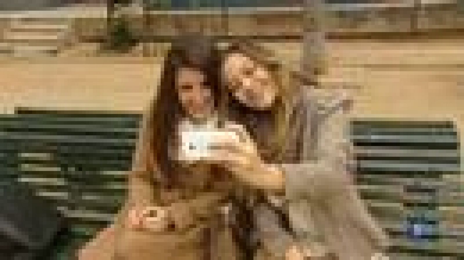 L'Informatiu: Selfie | RTVE Play