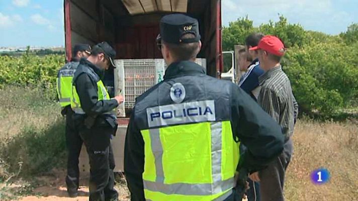 L'informatiu - Comunitat Valenciana - L'Informatiu - Comunitat Valenciana - 14/01/14