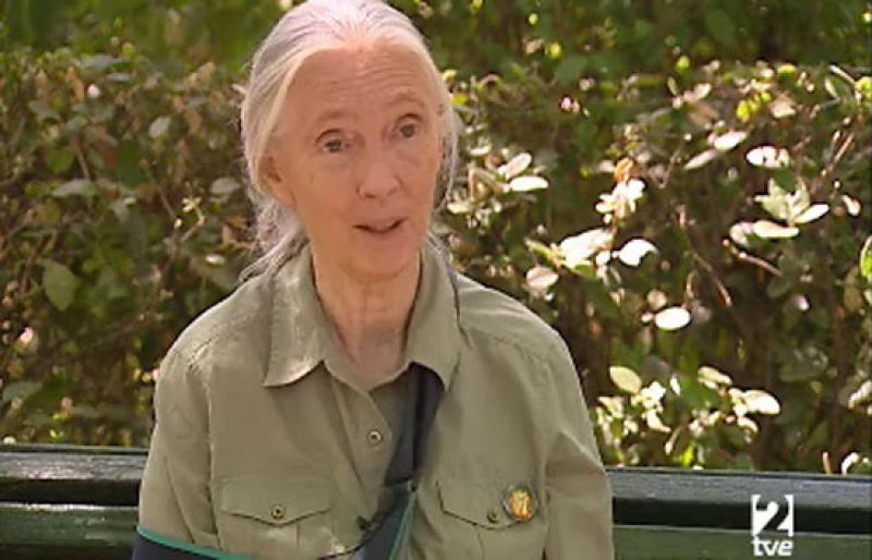 Entrevista a Jane Goodall