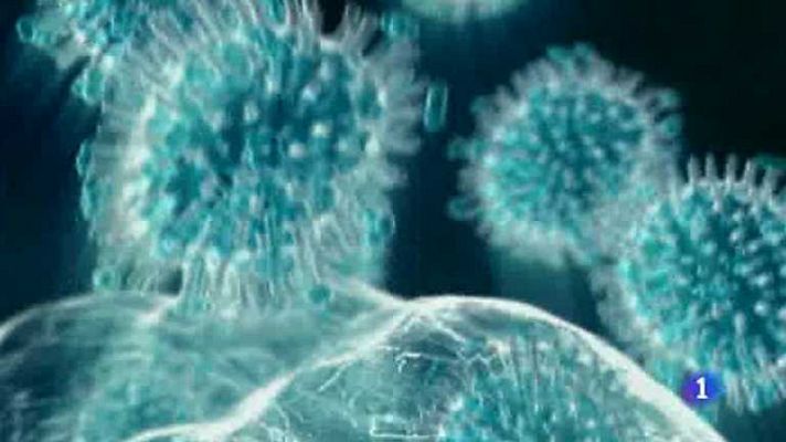 L'informatiu - Comunitat Valenciana - L'Informatiu - Comunitat Valenciana - 16/01/14