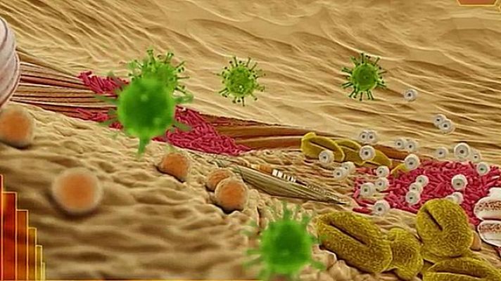 Universo UNED - Nanotubos de Carbono