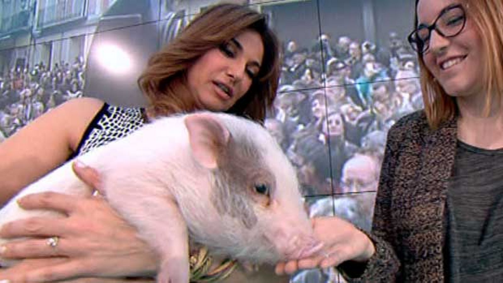 La mañana - Un minicerdo de mascota - La mañana | Ver