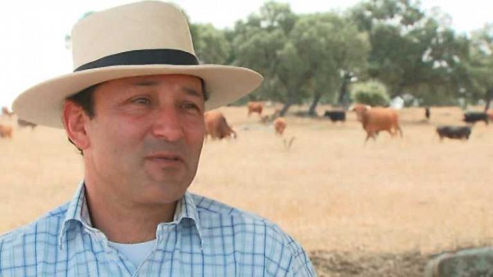 Tendido cero - Tendido Cero - 18/01/14