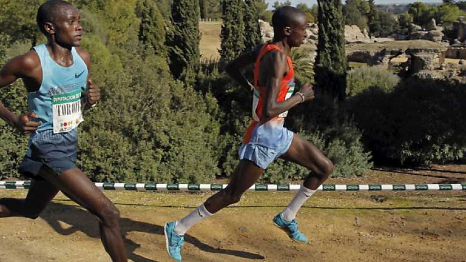 Atletismo - Cross de Itálica. Carrera masculina - ver ahora