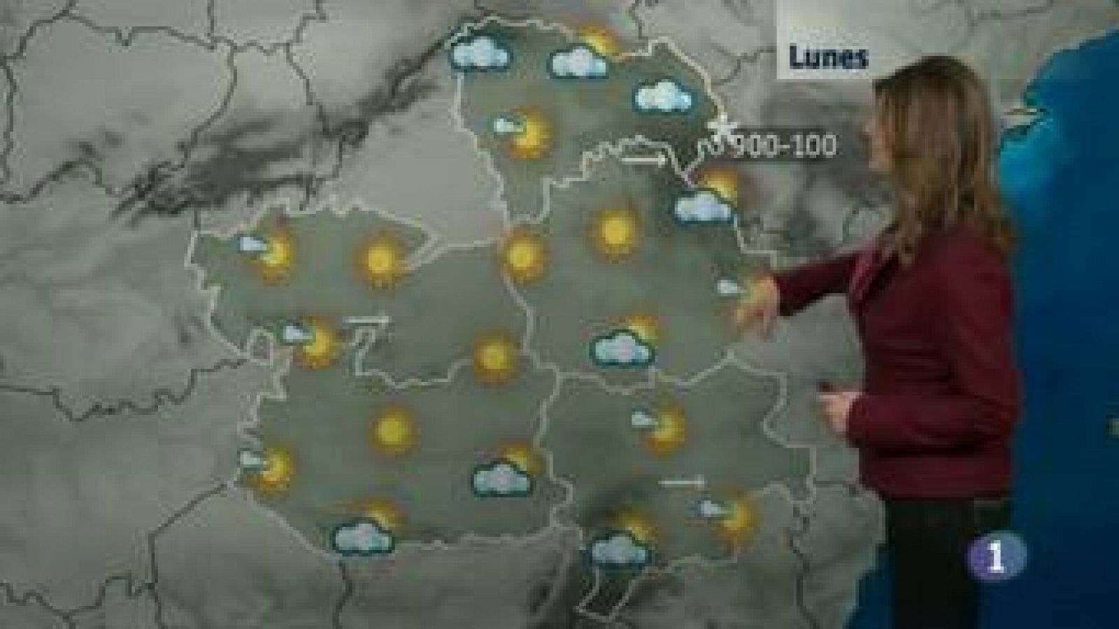 El Tiempo en Castilla-La Mancha. 20/01/14 | Ver