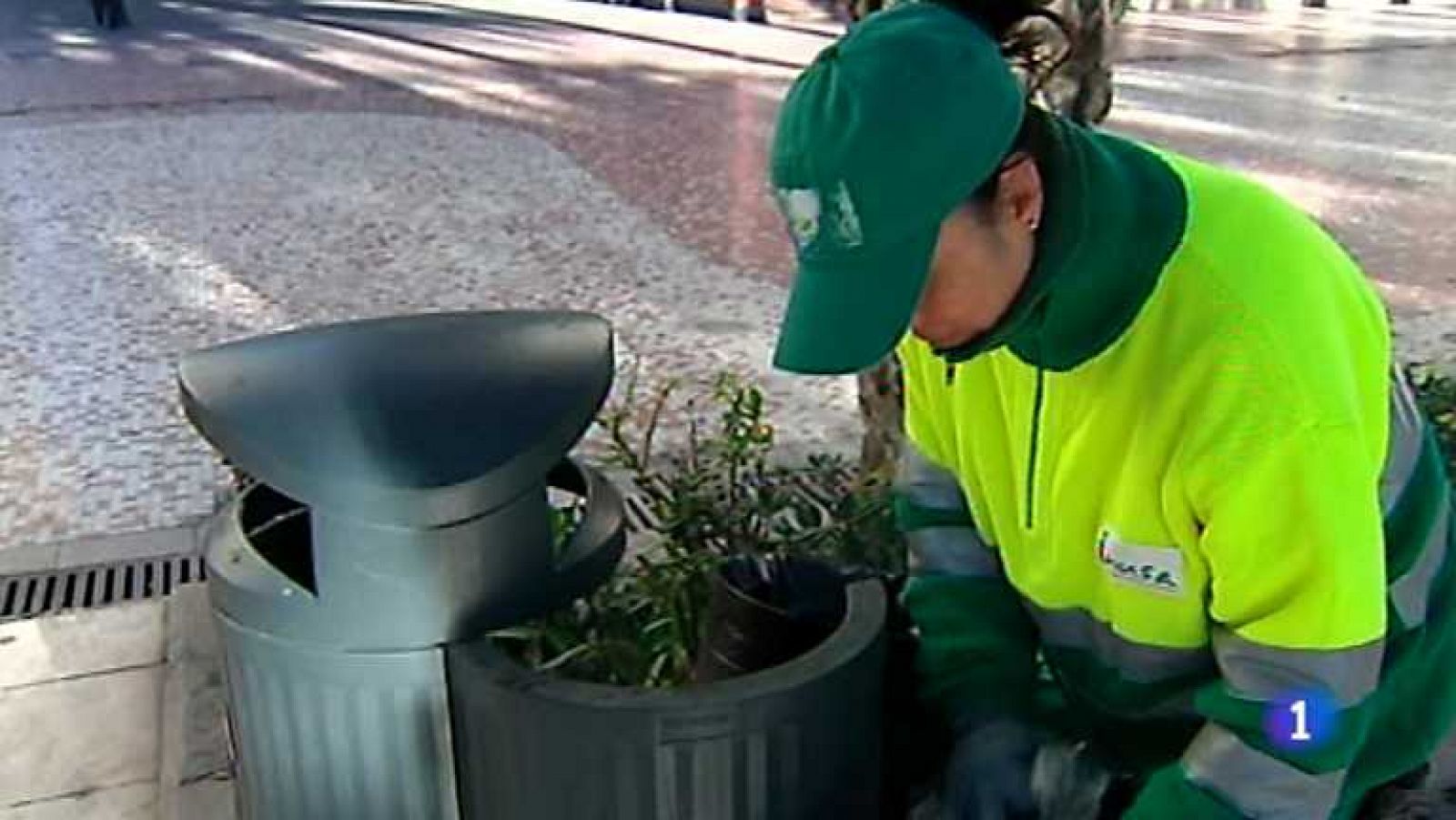 L'Informatiu - Comunitat Valenciana 2 - 20/01/14 - Ver ahora