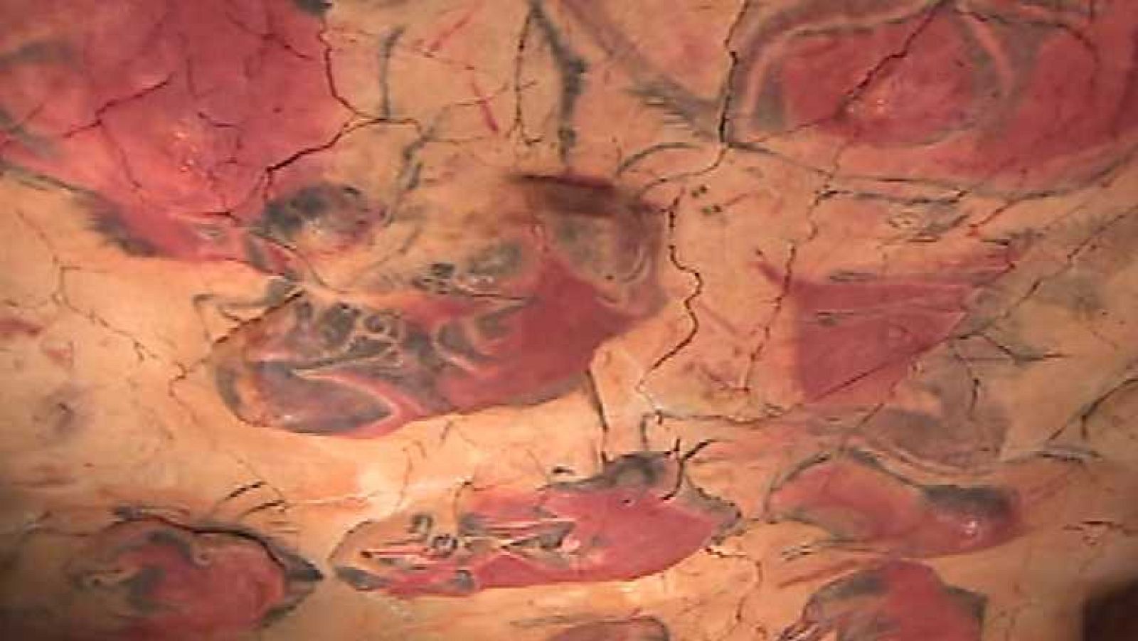 España en 24 horas - 20/01/14 - Ver ahora