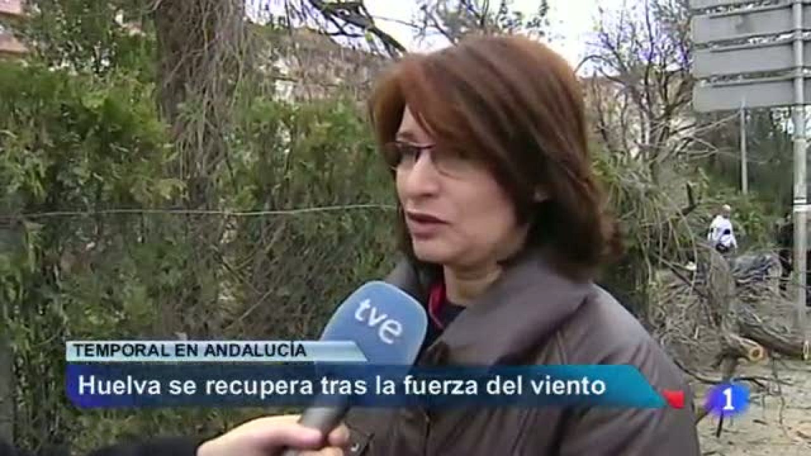 Noticias Andalucía: Noticias Andalucía 2 - 20/01/2014 | RTVE Play