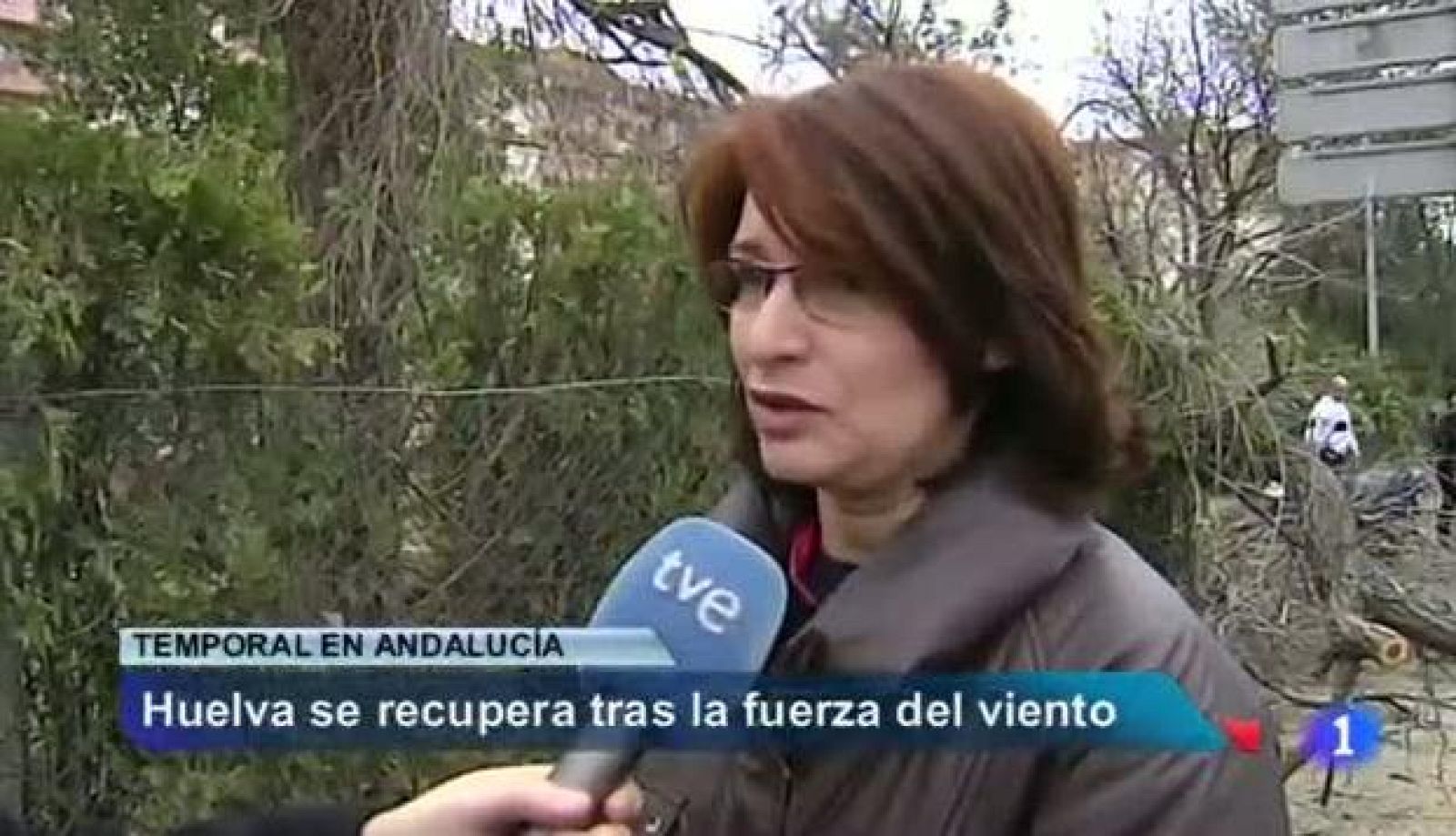  Noticias Andalucía 2 - 20/01/2014