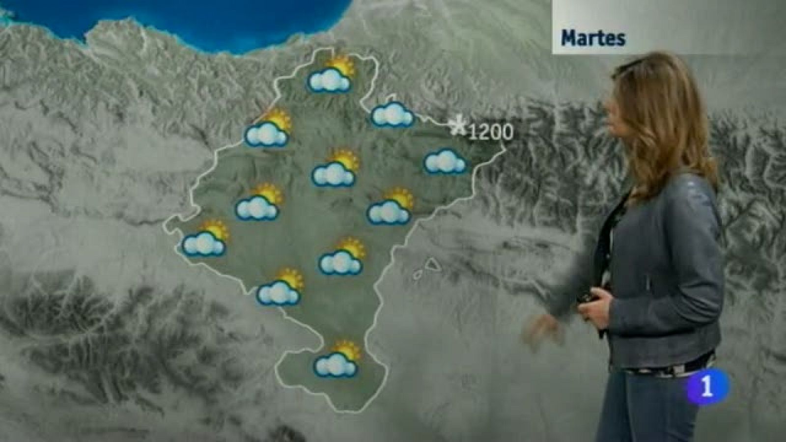 El Tiempo en la comunidad de Navarra - 21/01/2014 | Ver