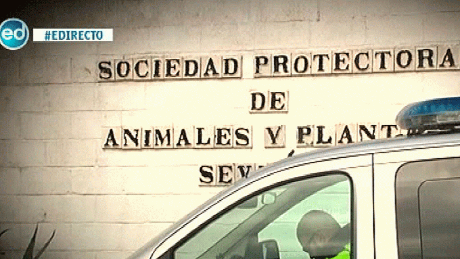 España Directo: Maltrato animal en una perrera | RTVE Play