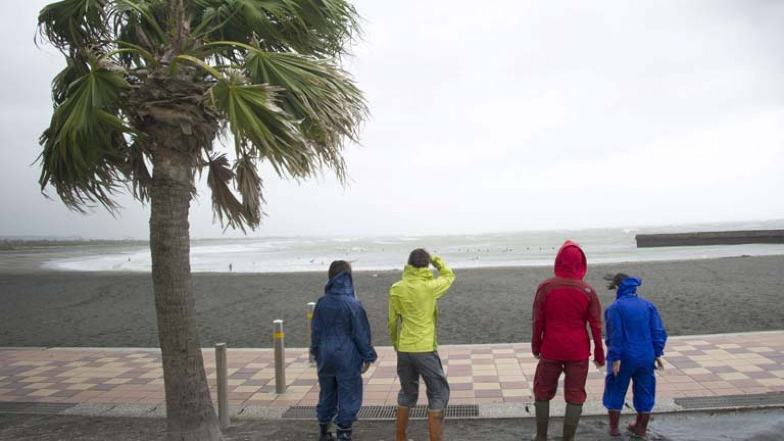 El tiempo: Viento fuerte en el nordeste, con rachas de muy fuerte en Canarias | RTVE Play