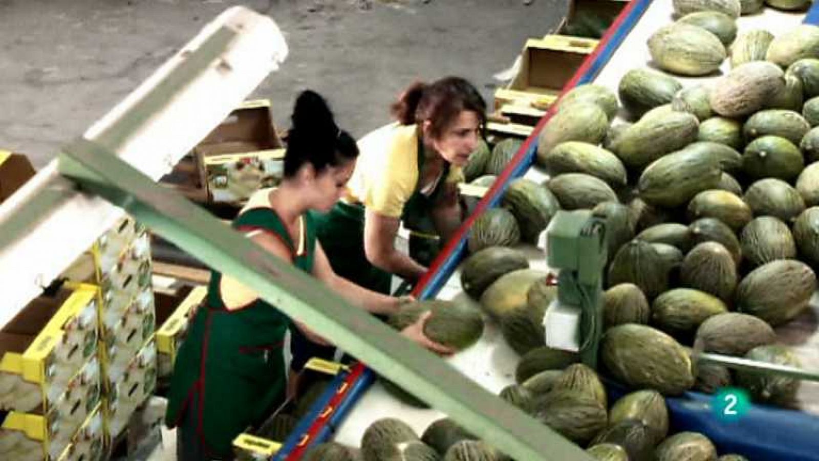 Aquí hay trabajo  - 24/01/14  - Ver ahora