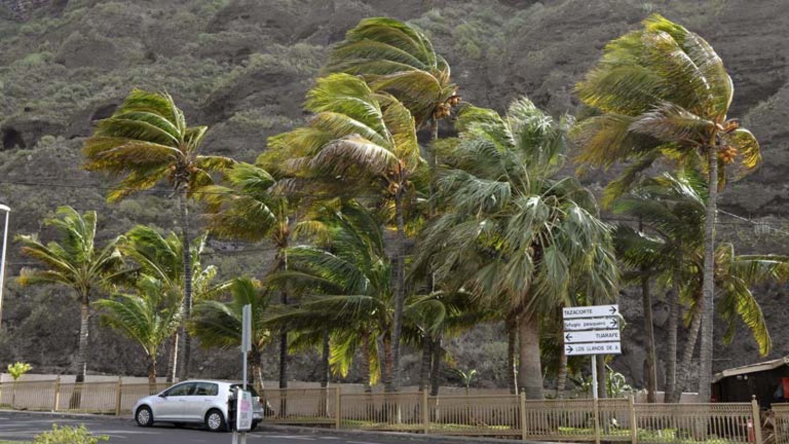 El tiempo: Viento fuerte en el nordeste y Canarias y lluvia en el noreste | RTVE Play