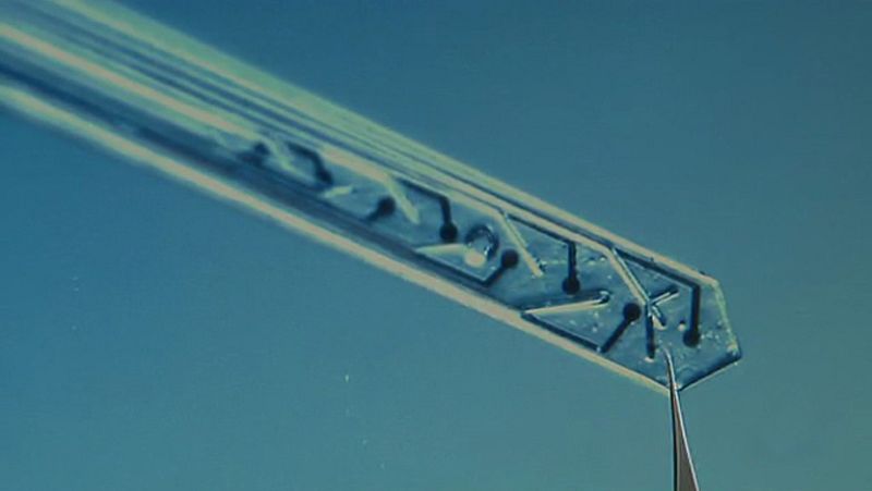 Microagujas que miden la actividad de las neuronas y depositan fármacos en el cerebro