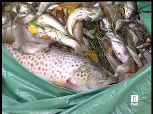  - Peces muertos en Cantabria