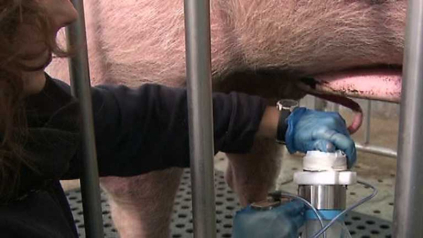 Aquí hay trabajo - 29/01/14 - Ver ahora