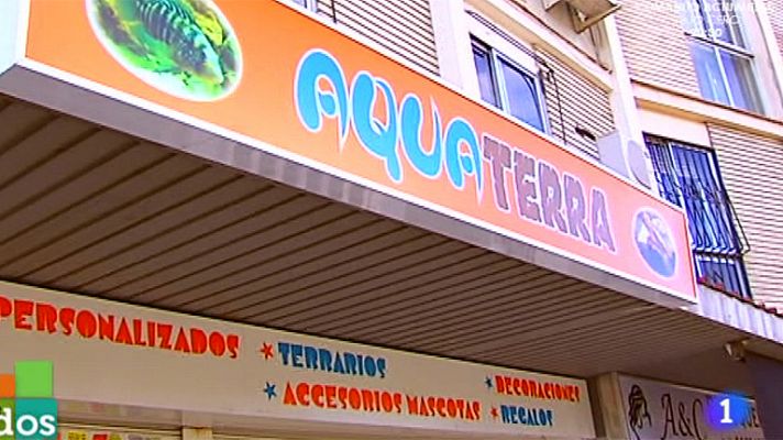 Entre todos - Laura abre su tienda de acuarios