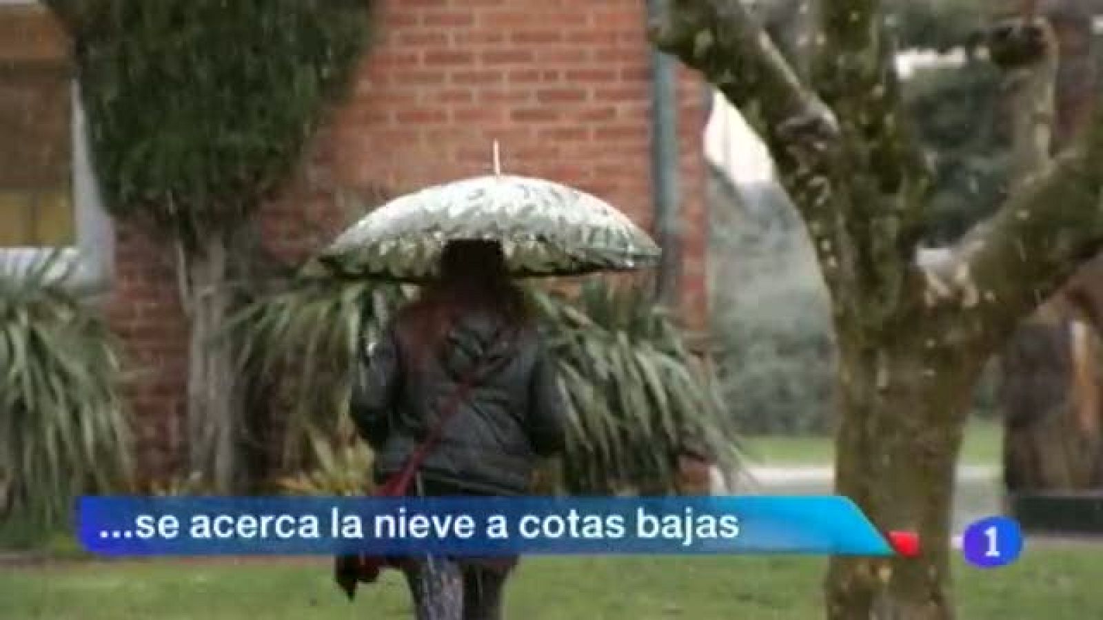   La nieve hace acto de presencia en cotas bajas. El PIB de Navarra creció en 3 décimas en el último trimestre del año. Navarra aplicará la LOMCE adaptada al proyecto educativo propio. Continúa en Osasuna la escasa compra y mucha venta de jugadores sin éxito. (30/01/2014)