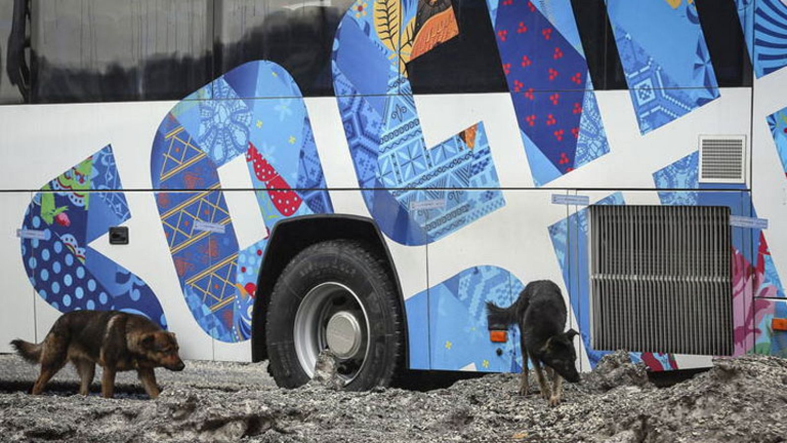 La Noche Temática - Los juegos de Putin - Comienzo - La noche temática | Ver