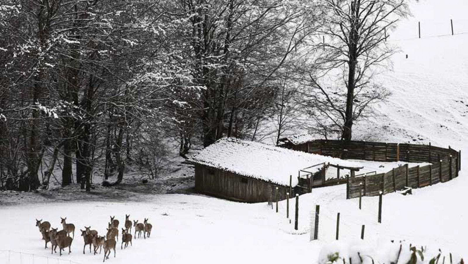 El tiempo: Nevadas en el Sistema Central | RTVE Play