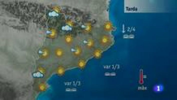 L'Informatiu - El temps - 31/01/14