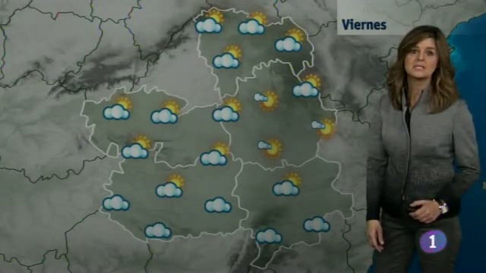 El Tiempo en Castilla-La Mancha. 31/01/14 | Ver