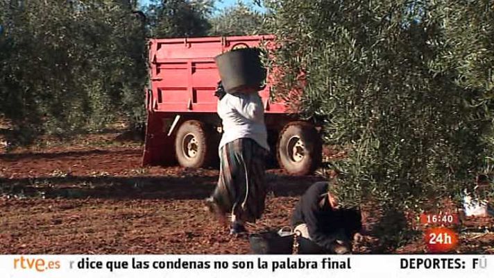 España en 24h - España en 24 horas - 31/01/14