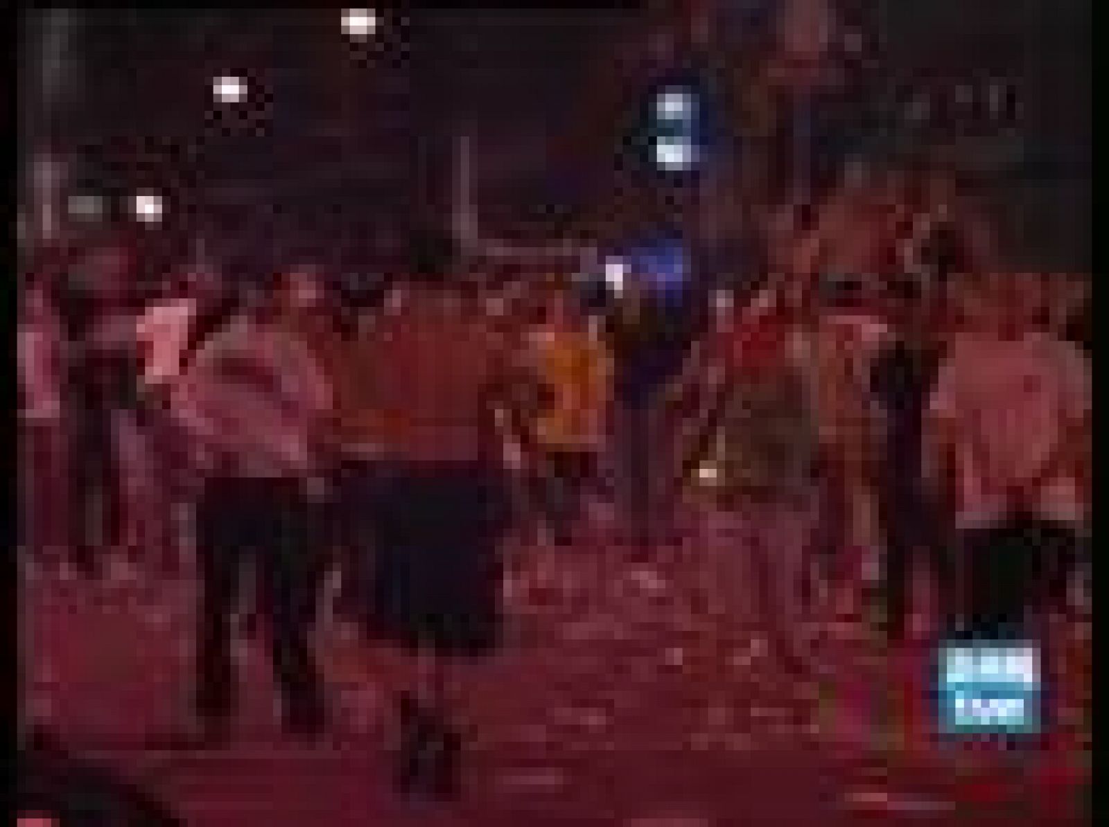 Sin programa: Violenta manifestación en Belgrado | RTVE Play