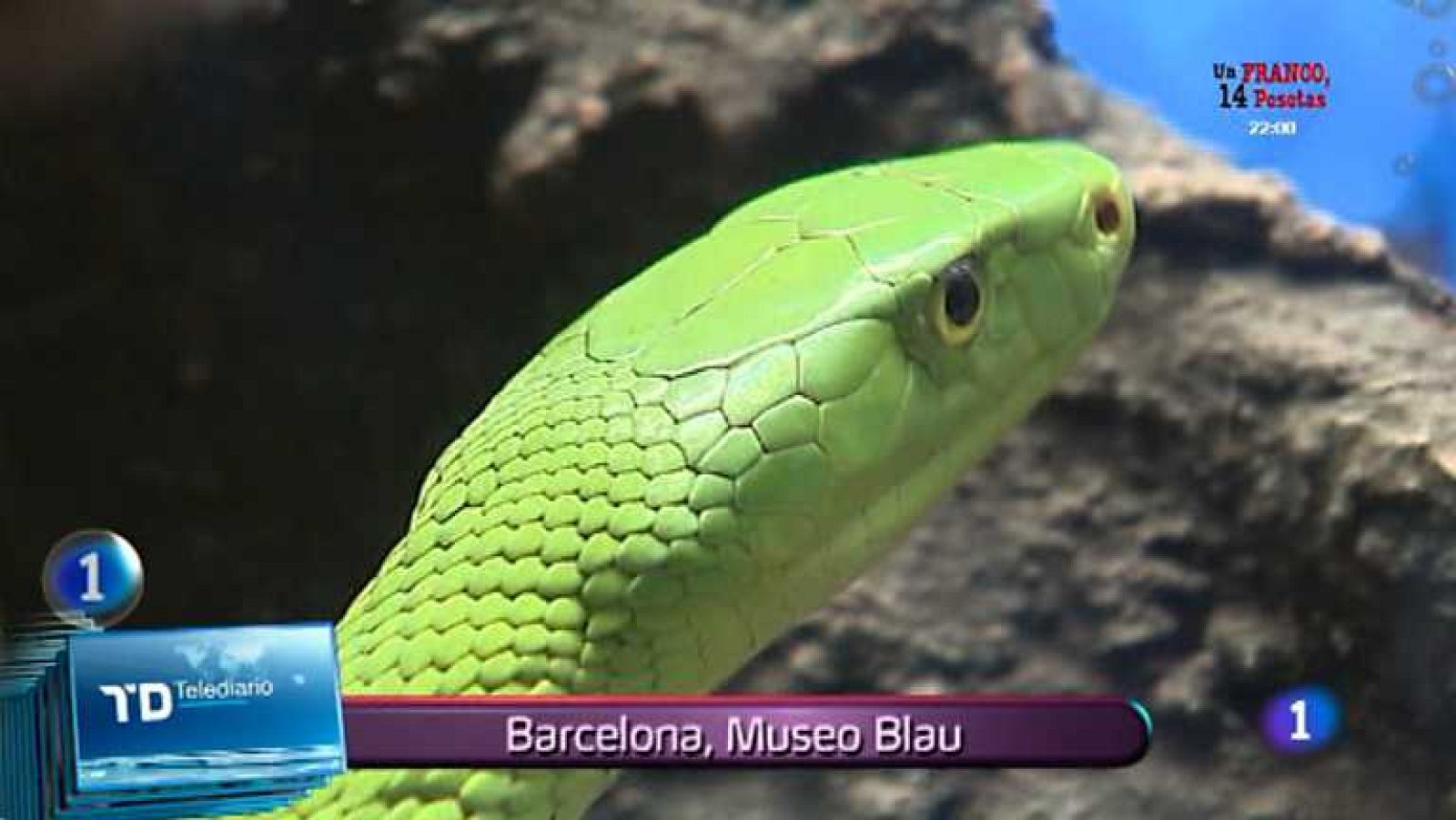 Lo que hay que ver - 01/02/14 - Ver ahora