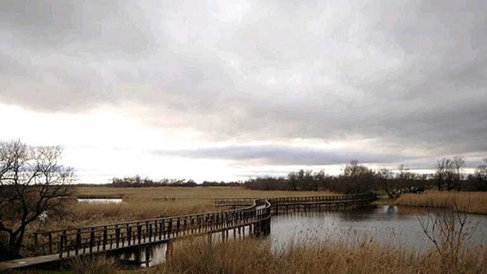 Telediario 1 - Día Internacional de los Humedales