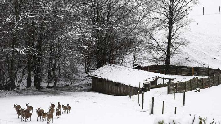 El tiempo - Viento fuerte en zonas de Galicia y de la Cordillera Cantábrica