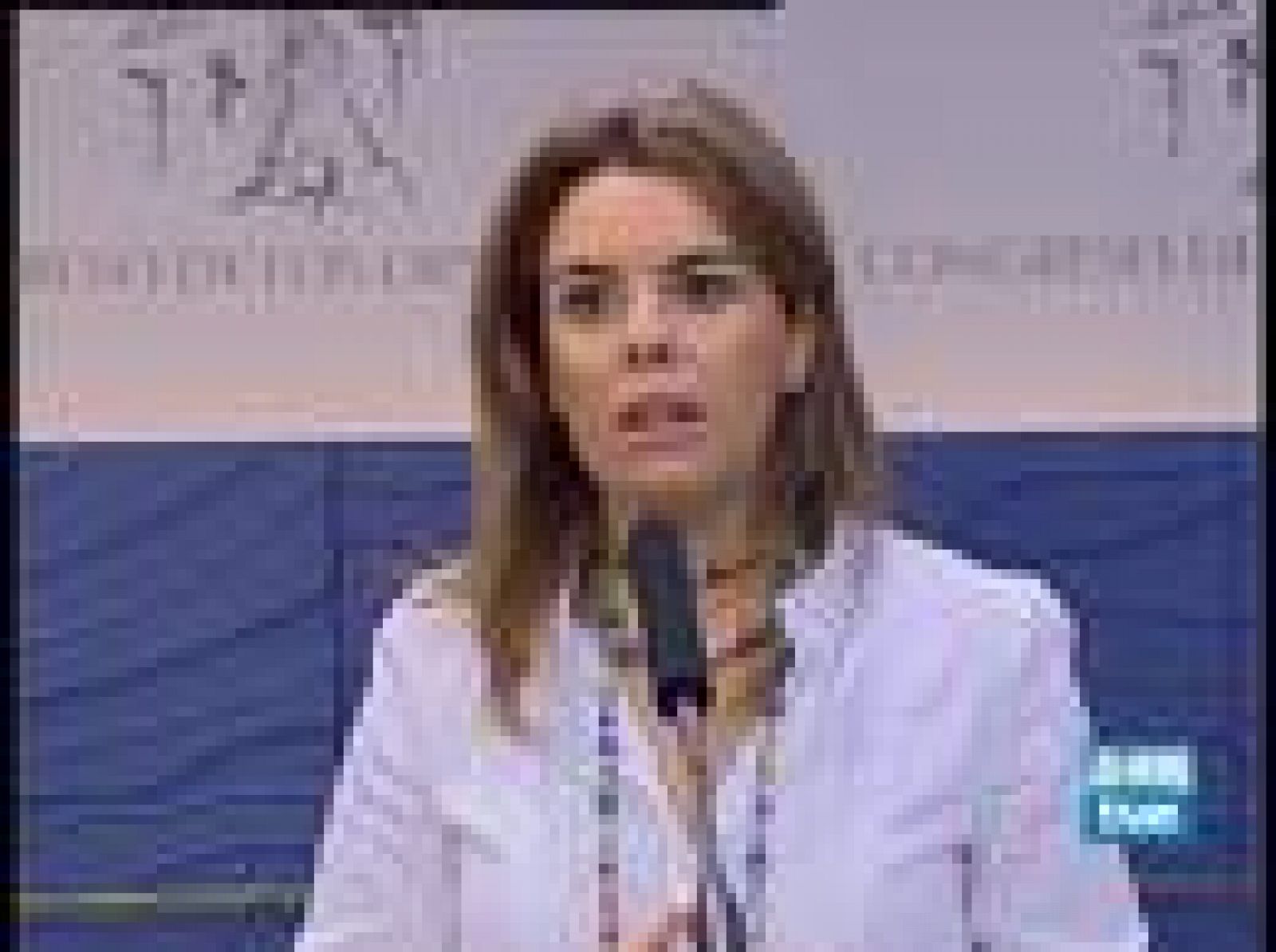  Sáenz de Santamaría también criticó el nuevo Plan de Ahorro Energético presentado por el ministro de Industria 