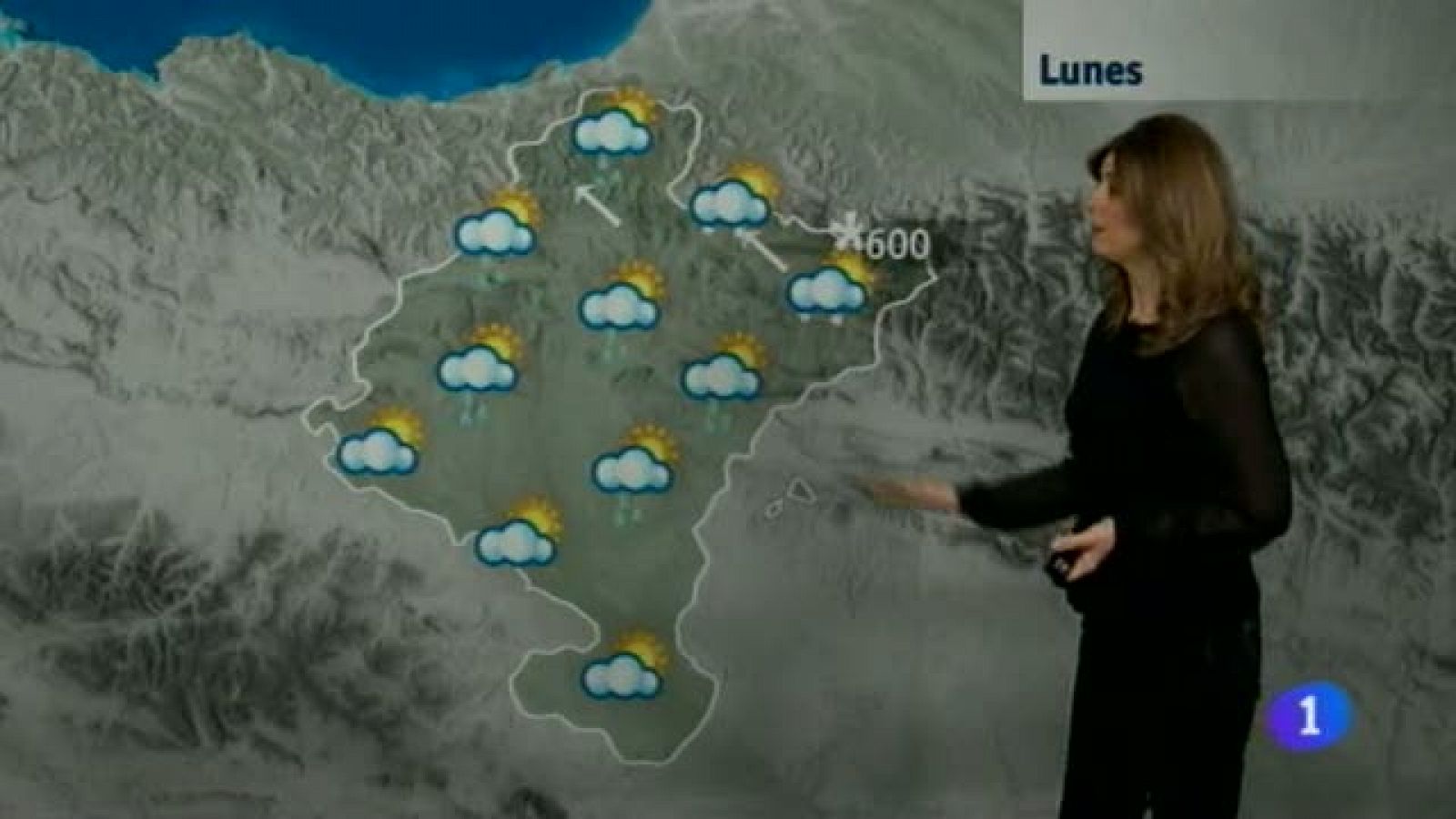 Telenavarra: El Tiempo en la Comunidad de Navarra - 03/02/2014 | RTVE Play