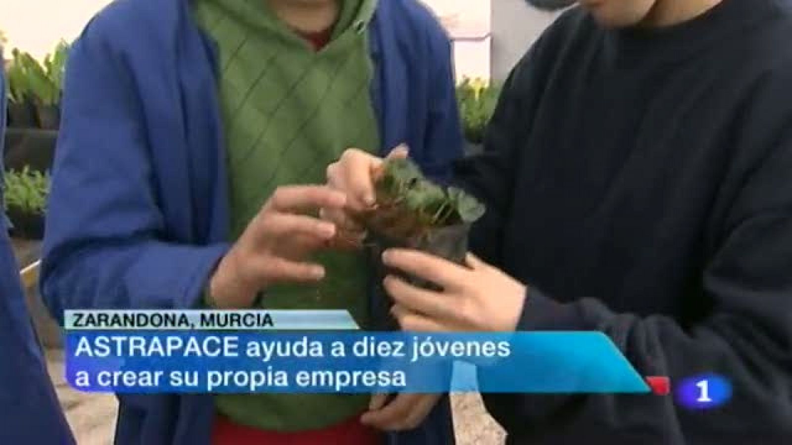 Noticias Murcia: Noticias Murcia 2.(03/02/2014) | RTVE Play