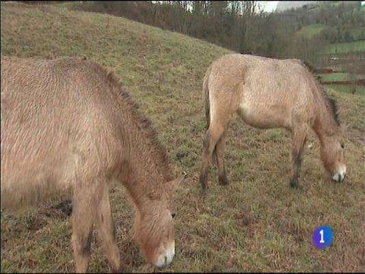 Panorama Regional - Panorama Regional 2 - 04/02/14
