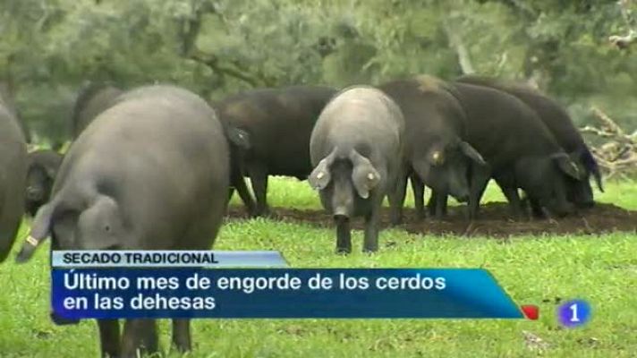 Noticias de Extremadura - 05/02/14
