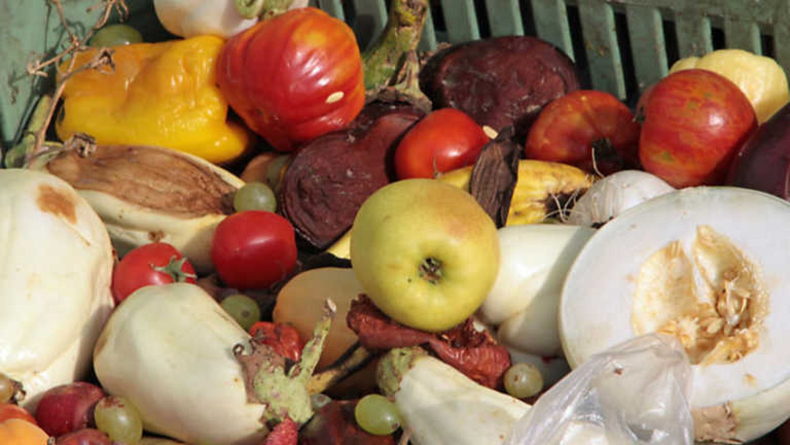 Comando Actualidad - La comida no se tira - ver ahora