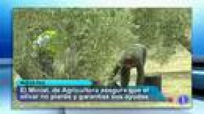 Noticias Andalucía - Andalucia en 2'-06/02/14