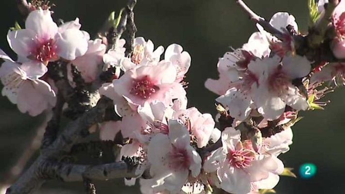 Agrosfera - Agrosfera - 08/02/14