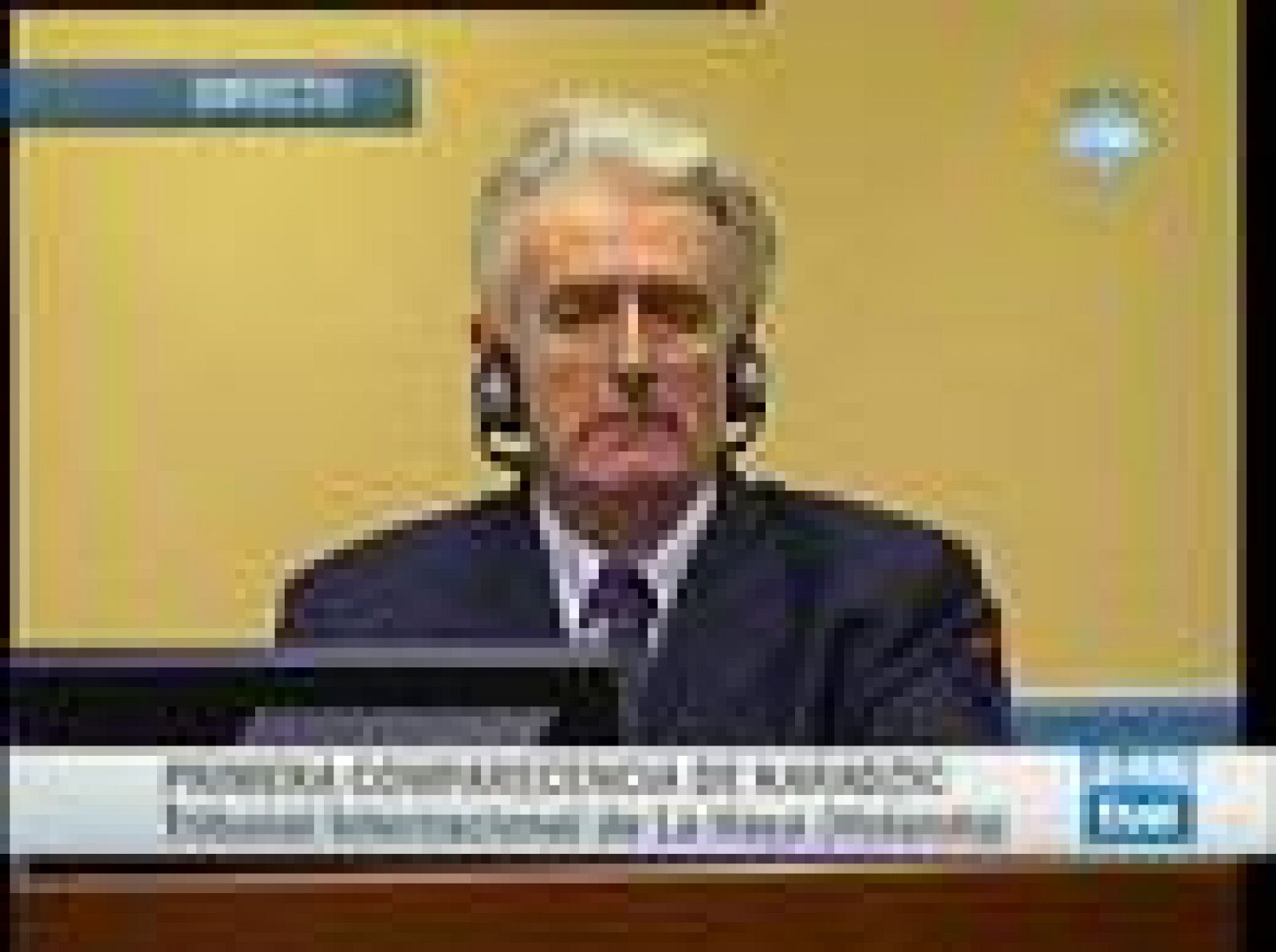 Karadzic renuncia a que le lean la acusación | Ver