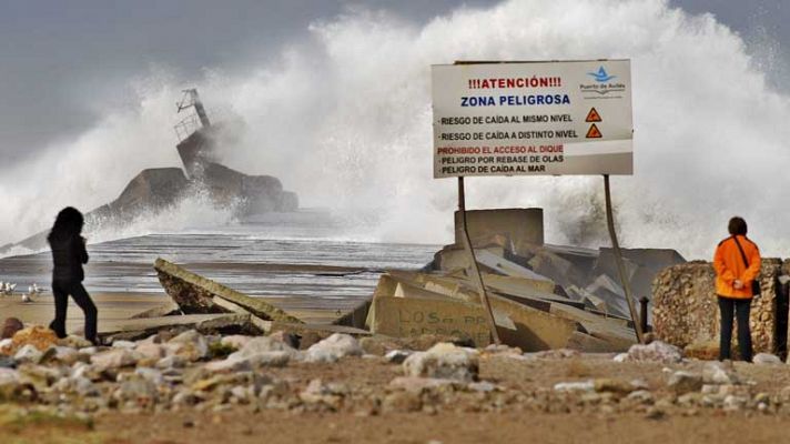 Telediario 1 - Repoblar el litoral con vegetación