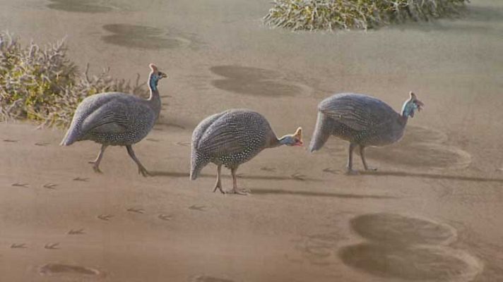 Informativo de Madrid - Informativo de Madrid 2 - 10/02/14